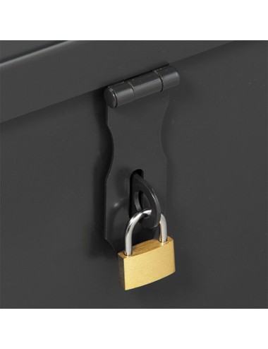 COFFRE OUTILS 55 x 35 x 35 cm AVEC CASIER PETIT MODELE